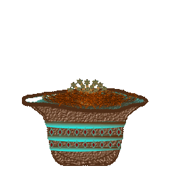 Potted Pinwheels art image